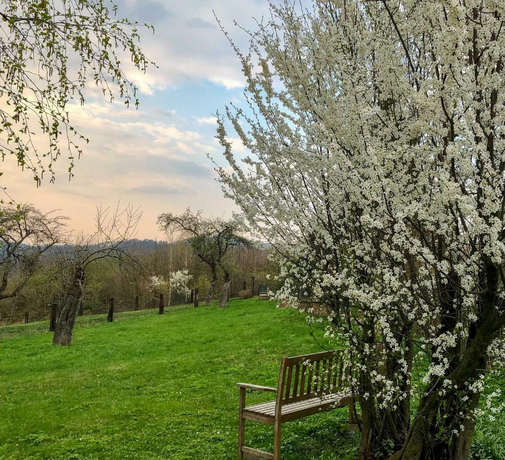 Altendorfer Vorwerk - Ferienapartments Bagian luar foto